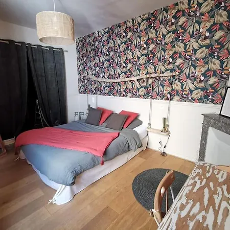 Bel De Charme En Centre Ville Appartement Perpignan